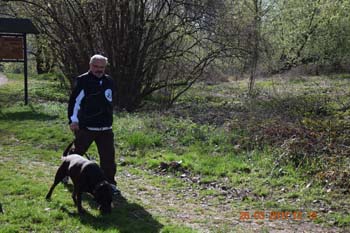 Rhein-Ahr-Lauf 2017 156