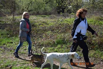 Rhein-Ahr-Lauf 2017 160