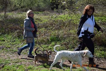 Rhein-Ahr-Lauf 2017 161