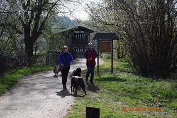 Rhein-Ahr-Lauf 2017 162