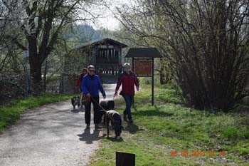 Rhein-Ahr-Lauf 2017 164