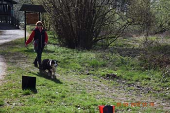 Rhein-Ahr-Lauf 2017 167