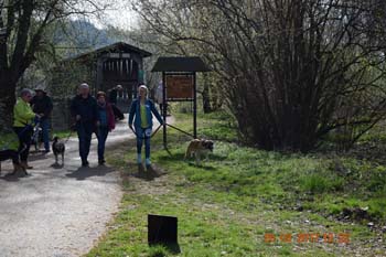 Rhein-Ahr-Lauf 2017 172