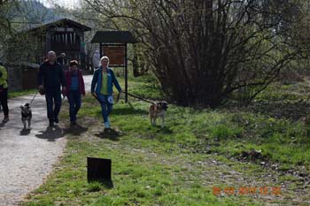 Rhein-Ahr-Lauf 2017 174