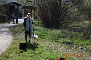 Rhein-Ahr-Lauf 2017 177