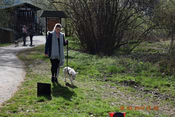 Rhein-Ahr-Lauf 2017 178