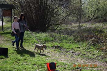 Rhein-Ahr-Lauf 2017 179