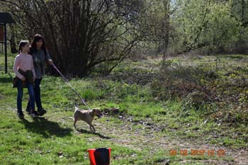Rhein-Ahr-Lauf 2017 180