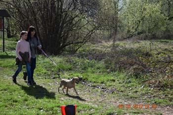 Rhein-Ahr-Lauf 2017 181