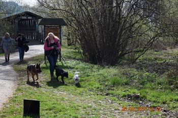 Rhein-Ahr-Lauf 2017 185