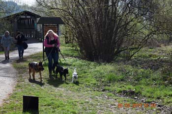 Rhein-Ahr-Lauf 2017 186