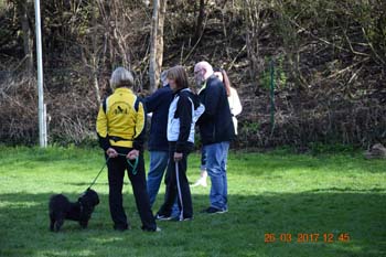 Rhein-Ahr-Lauf 2017 188