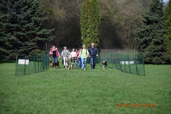 Rhein-Ahr-Lauf 2017 193