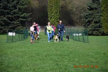 Rhein-Ahr-Lauf 2017 195
