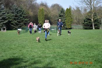 Rhein-Ahr-Lauf 2017 197