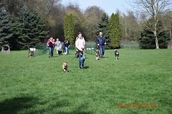 Rhein-Ahr-Lauf 2017 198