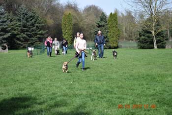 Rhein-Ahr-Lauf 2017 199