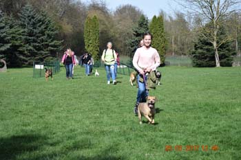 Rhein-Ahr-Lauf 2017 201