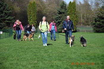 Rhein-Ahr-Lauf 2017 202