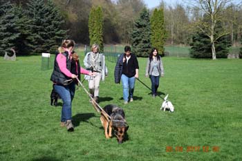Rhein-Ahr-Lauf 2017 207