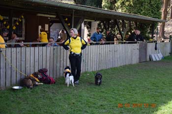 Rhein-Ahr-Lauf 2017 210