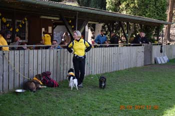 Rhein-Ahr-Lauf 2017 211