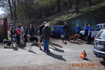 Rhein-Ahr-Lauf 2017 214