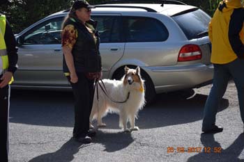 Rhein-Ahr-Lauf 2017 216