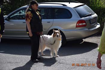 Rhein-Ahr-Lauf 2017 217