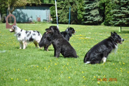 25 j�hriges Jubil�um HSF Sinzig 139.jpg