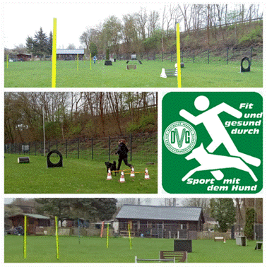 Ein Bild, dass den Hundesportplatz mit verschiedenen Parcouren, dem Vereinsheim und das "Fit und gesund durch Sport mit dem Hund"-Logo des DVG enth�lt